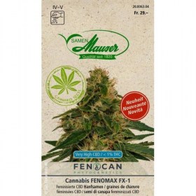 Fenomax Cannabis Samen 
